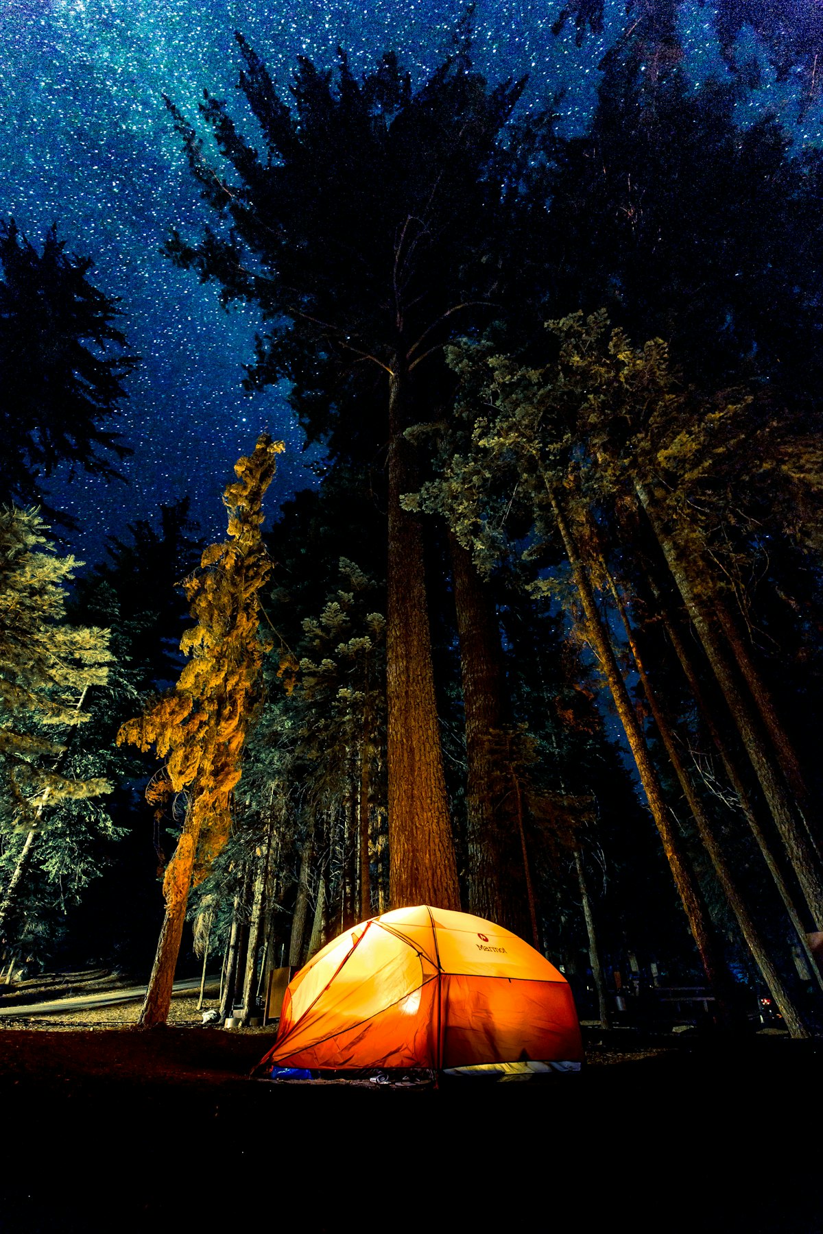 One-Stop Camping Discovery: Pilih Spot & Paket Trip